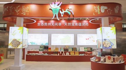 黔藥出山新窗口 貴州中藥材館常駐亳州，近400種道地藥材集中亮相